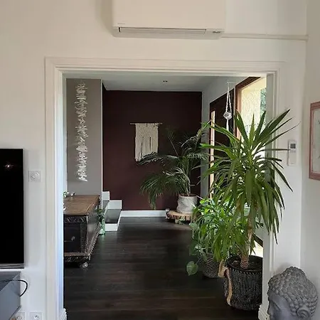 Beautiful Air-conditioned House With Pool *